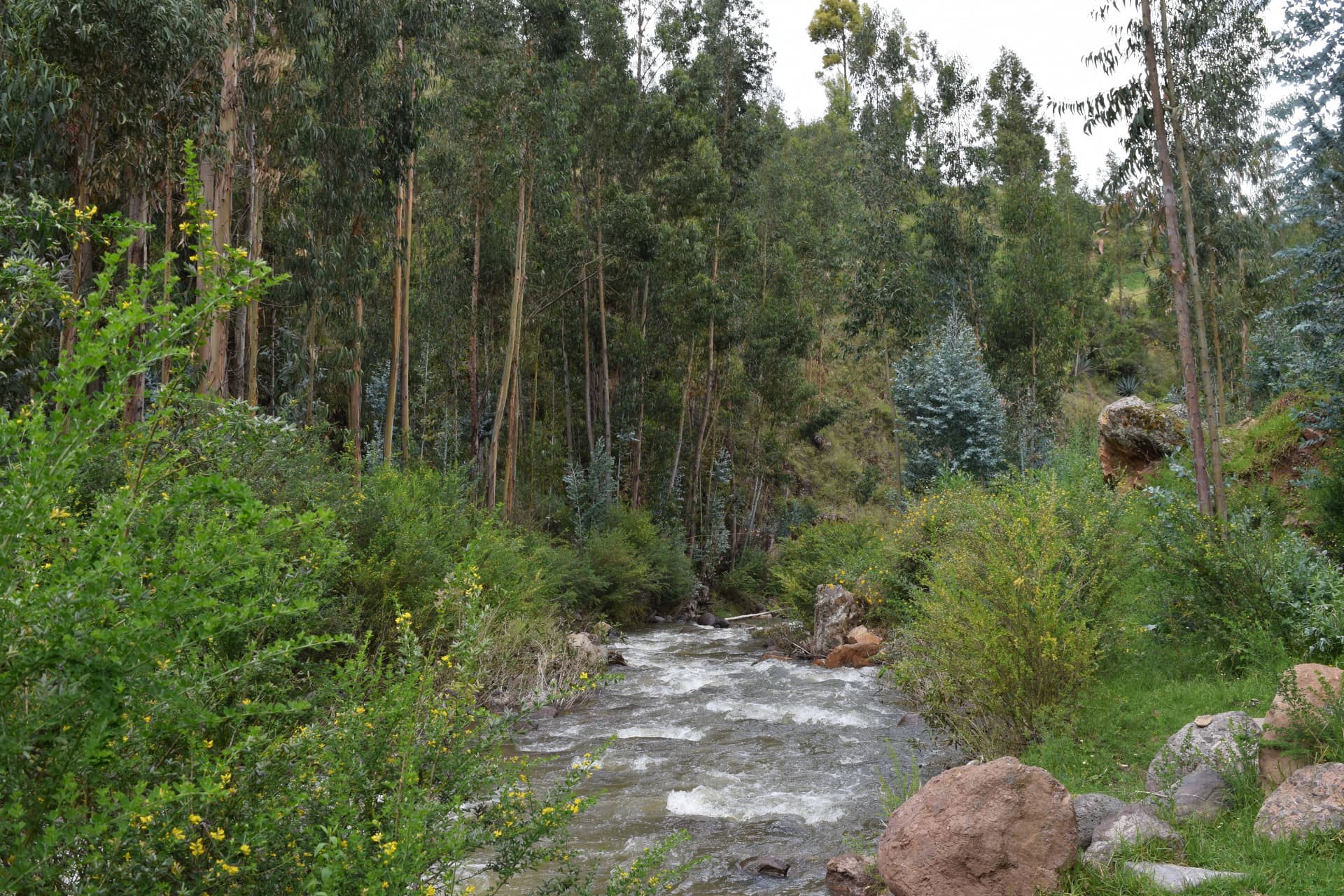 Soul Retrieval: An Ancient Andean Healing Practice for a Disconnected World