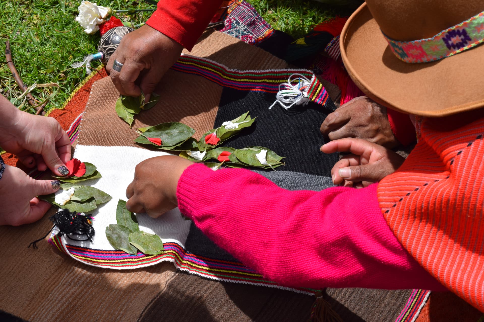 The Mountains Are the Teachers: What the Sacred Andes Can Teach Us About Healing