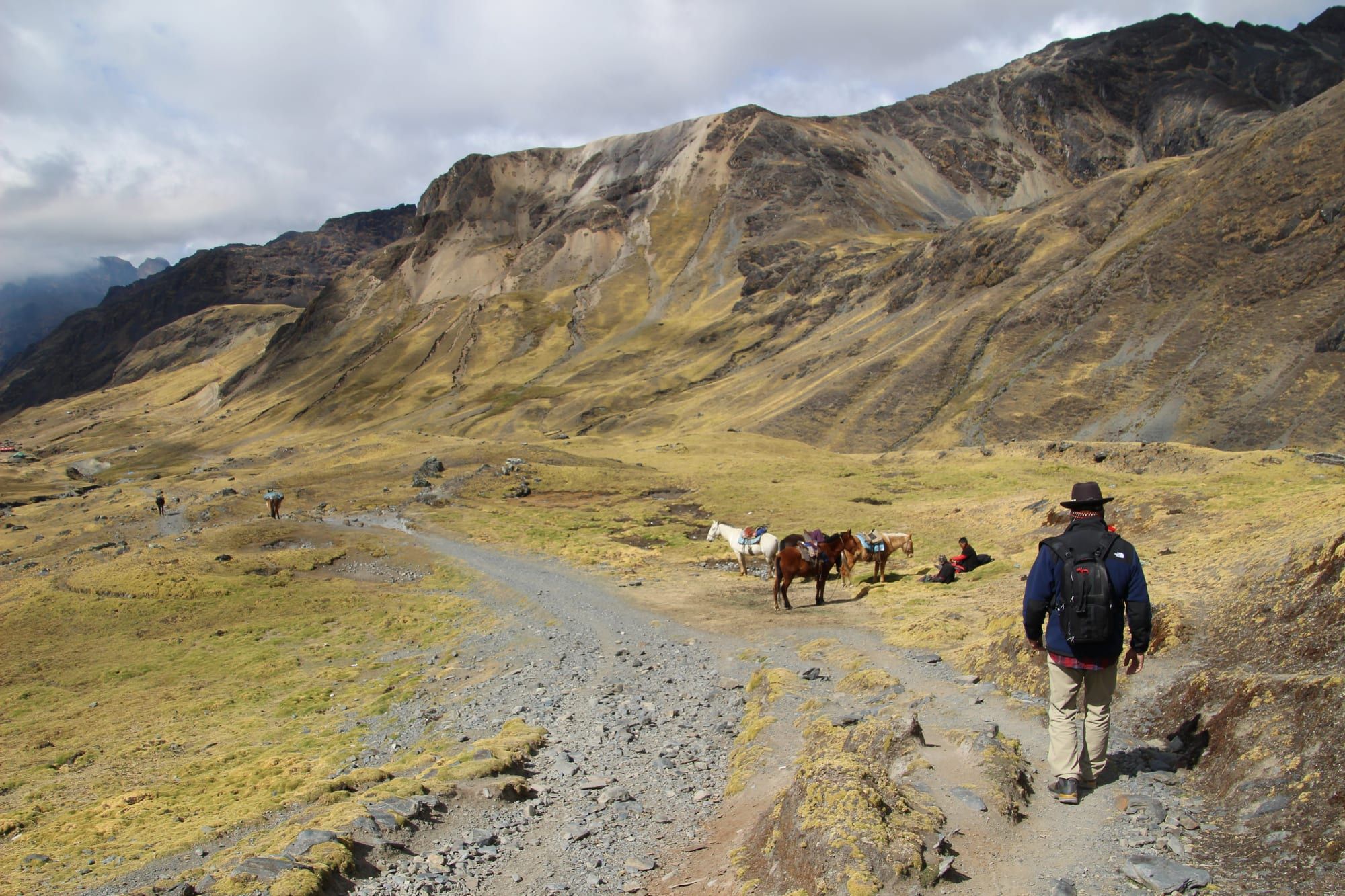A lone figure walking a path through the high Andes — Shamanic Trekker — The Missing Layer Sessions