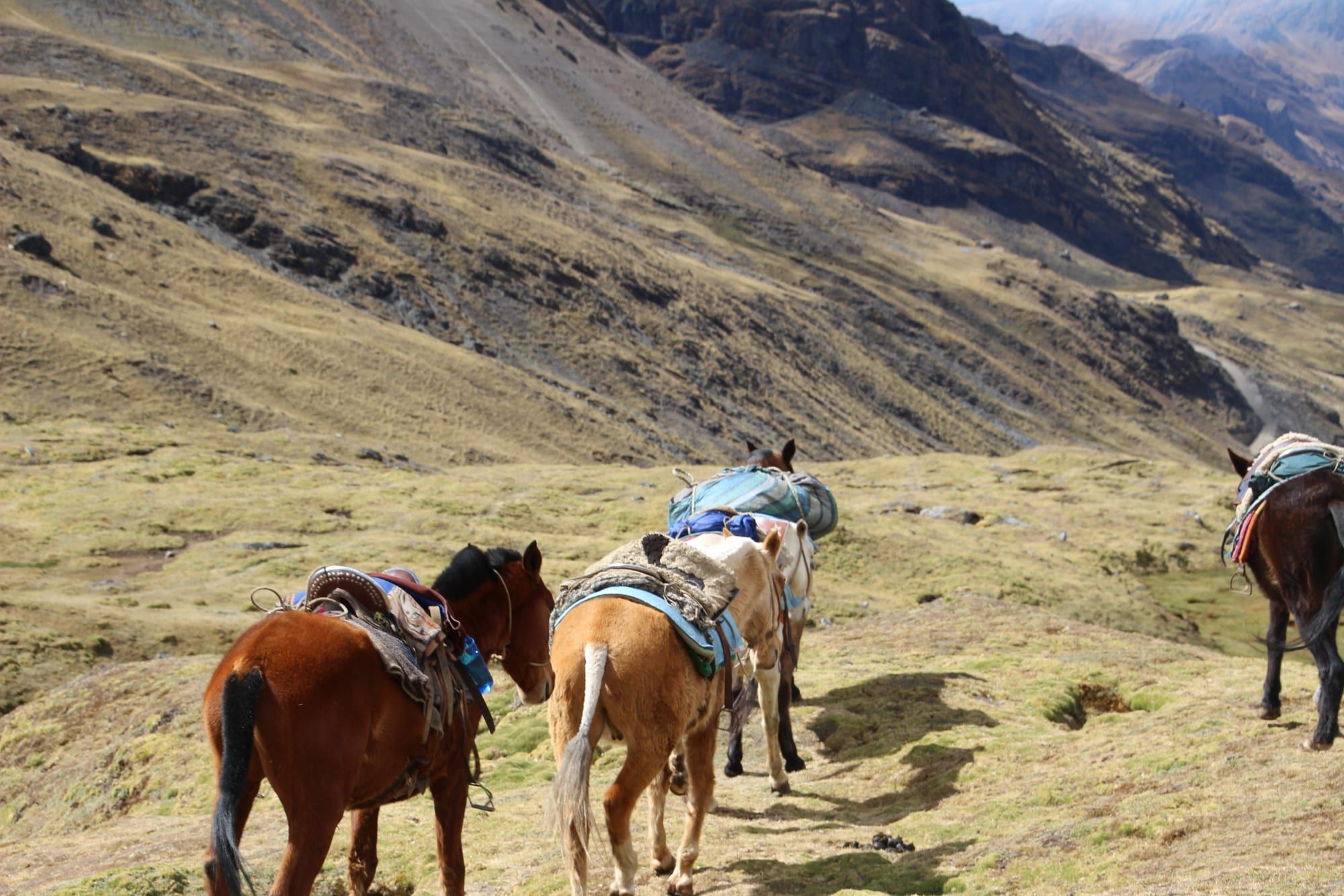 A pack trail through the high Andes - sacred Q'ero territory - Shamanic Trekker