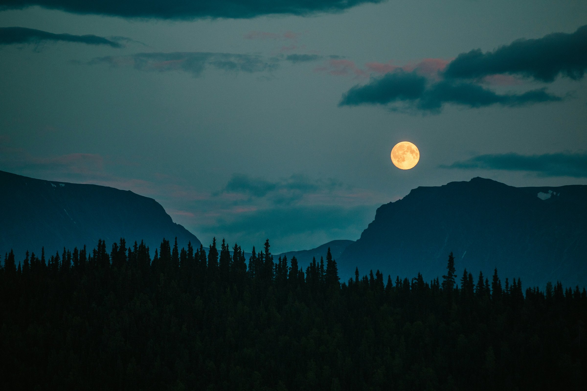 The Hunter's Moon rising over a mountain forest at dusk
