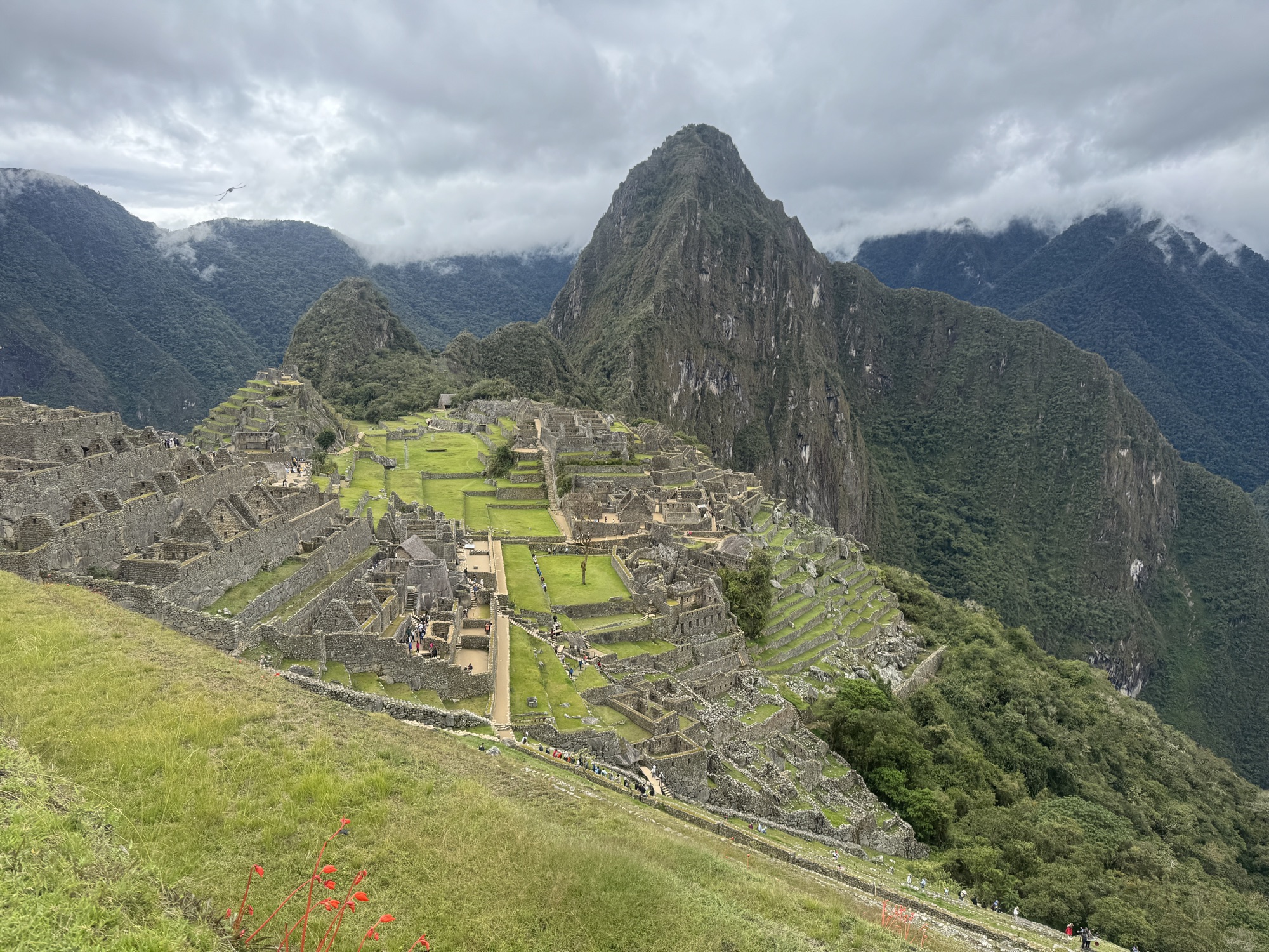 Shamanic Trekker — Terms and Conditions